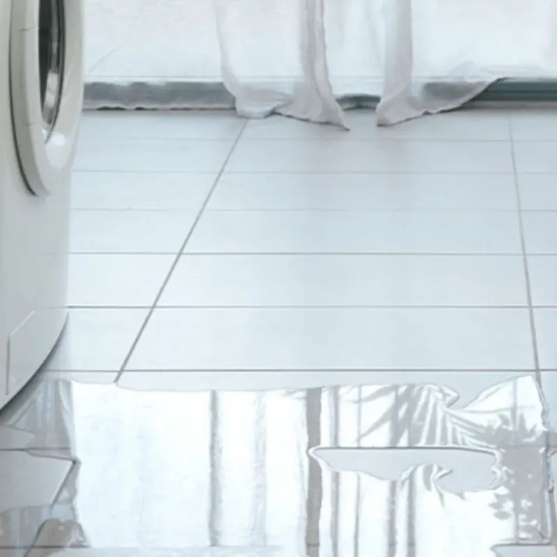 Appliance Leak Cleanup in Flossmoor, IL