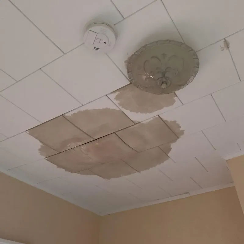 Ceiling Water Damage Repair in Flossmoor, IL