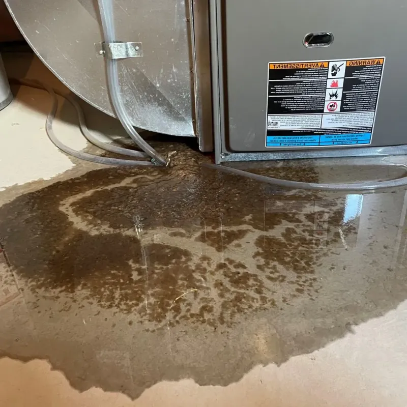 Pipe Burst and Leak Restoration in Flossmoor, IL