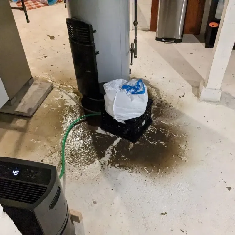 Sewage Backup Cleanup Service in Flossmoor, IL